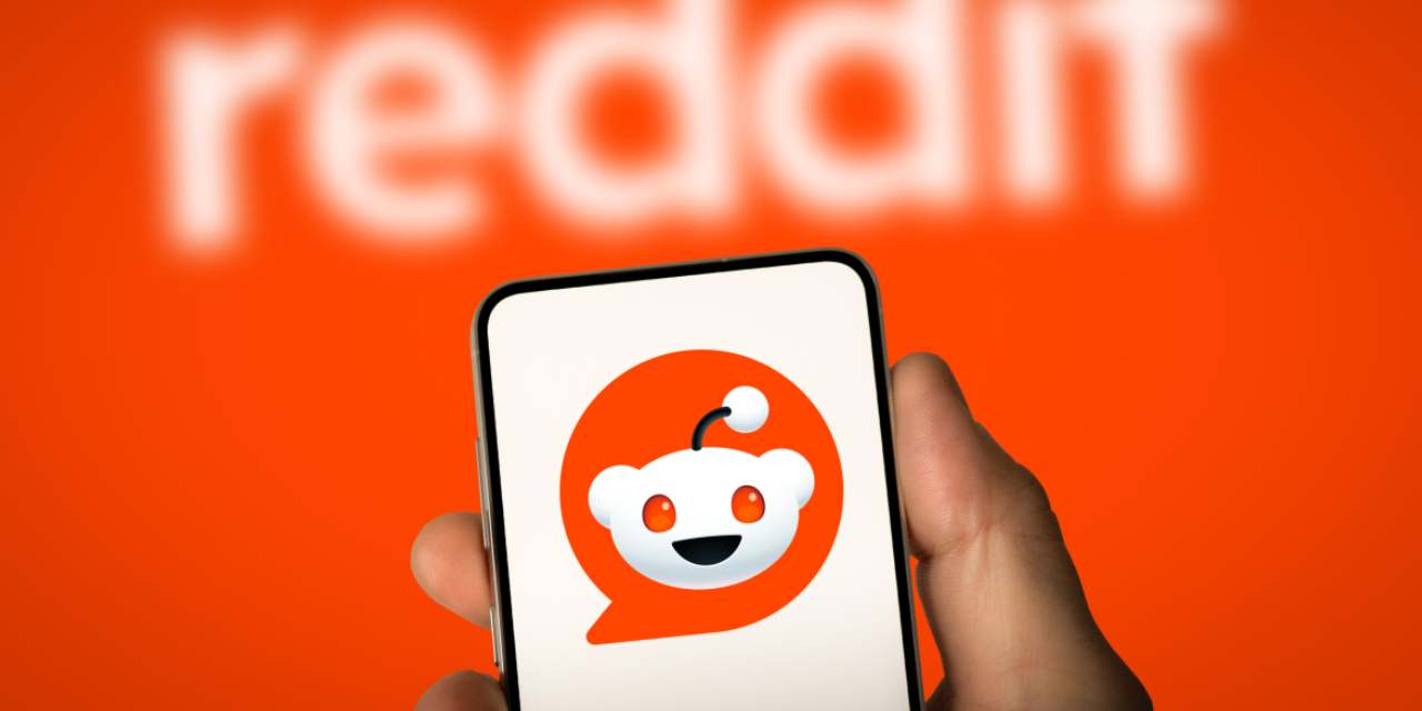 Reddit Türkiye’ de Şirket Kurdu